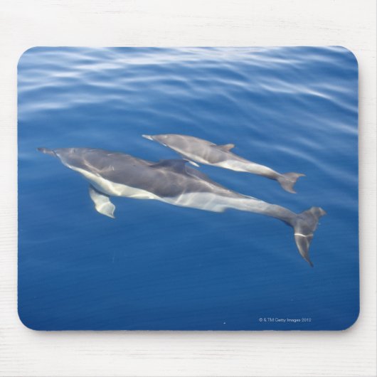 Häufiger Delphin in der Straße Mousepad (Vorne)