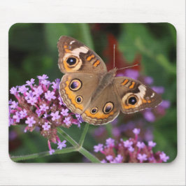 Häufiger Schmetterling auf Verbena Mousepad