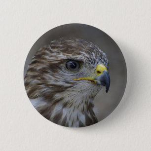 Häufiges Bussard-Portrait Button