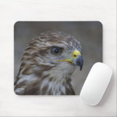 Häufiges Bussard-Portrait Mousepad (Mit Mouse)