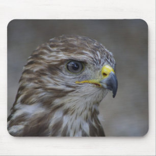Häufiges Bussard-Portrait Mousepad