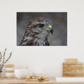 Häufiges Bussard-Portrait Poster (Küche)