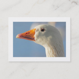 Haughty Gans (grenzt) Visitenkarte