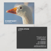 Haughty White Goose Visitenkarte (Vorne/Hinten)