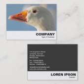Haughty White Goose Visitenkarte (Vorne/Hinten)