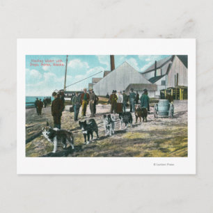 Hauling Water with DogsNome, AK Postkarte