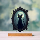 Haunted Cat Mirror Acrylschild (Neutral)