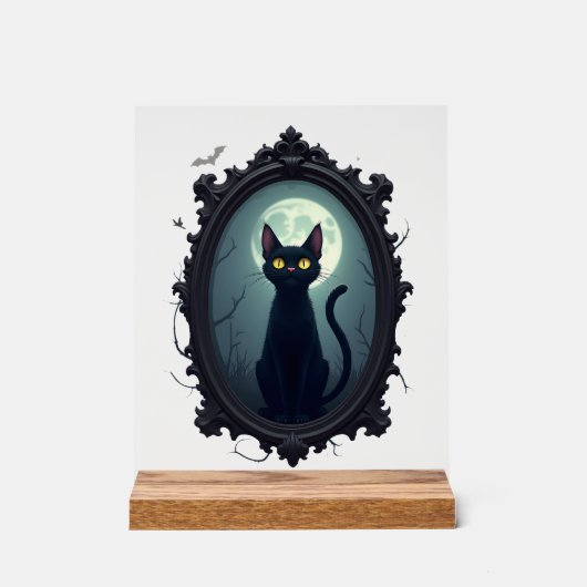 Haunted Cat Mirror Acrylschild (Vorderseite)