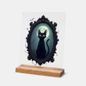 Haunted Cat Mirror Acrylschild (Winkel)