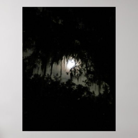 Haunting Dark Night Poster (Vorne)