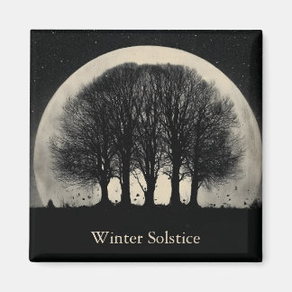Hauntingly Beautiful Silhouette of Bare Trees Magnet