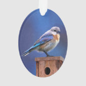 Haupt2 Ornament (Rückseite)