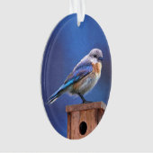 Haupt2 Ornament (Vorderseite)