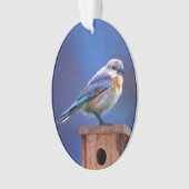 Haupt2 Ornament (Vorderseite)