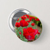 Haupt Birnen, Nahaufnahme Button (Vorne & Hinten)