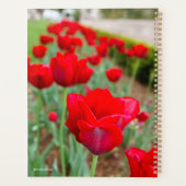 Haupt-Bulben, Nah Planer (Rückseite)