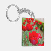 Haupt-Bulben, Nah Schlüsselanhänger (Vorderseite links)