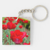 Haupt-Bulben, Nah Schlüsselanhänger (Rückseite)