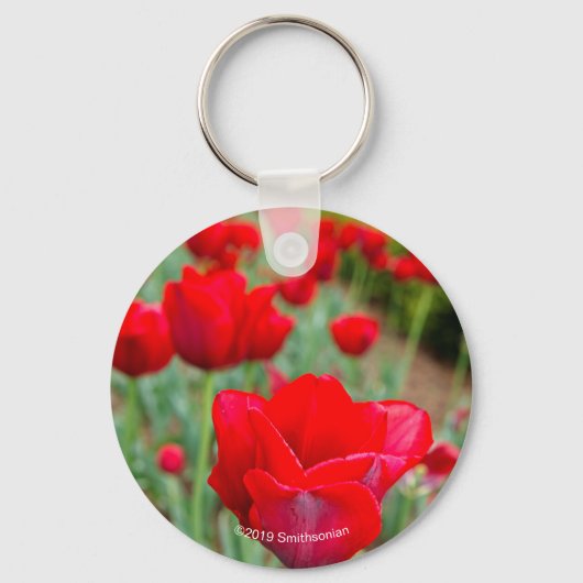 Haupt-Bulben, Nah Schlüsselanhänger (Vorderseite)