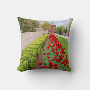 Haupt Bulbs Kissen