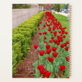 Haupt Bulbs Planer (Rückseite)