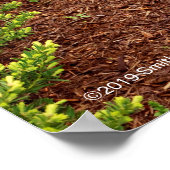 Haupt Bulbs Poster (Ecke)