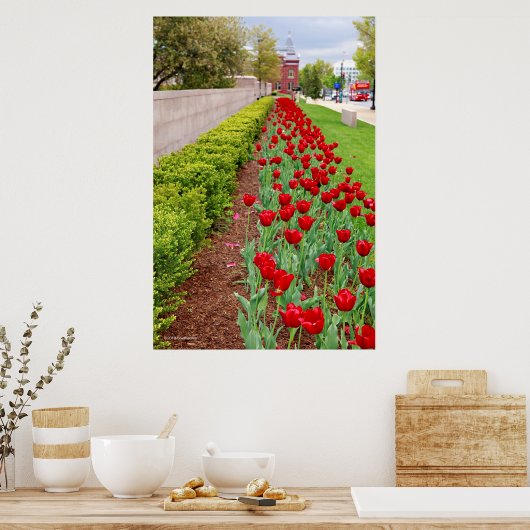 Haupt Bulbs Poster (Küche)