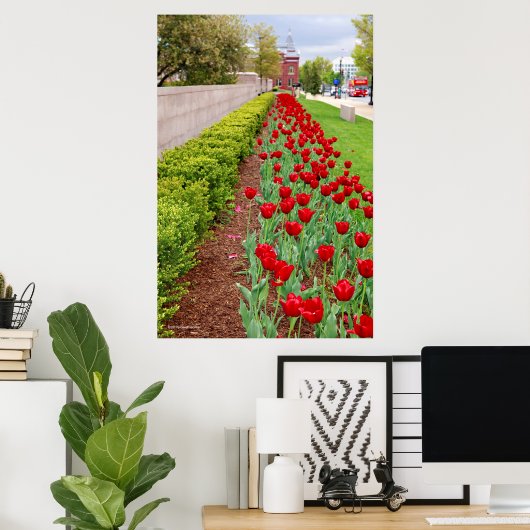 Haupt Bulbs Poster (Heimbüro)