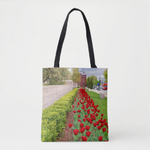 Haupt Bulbs Tasche