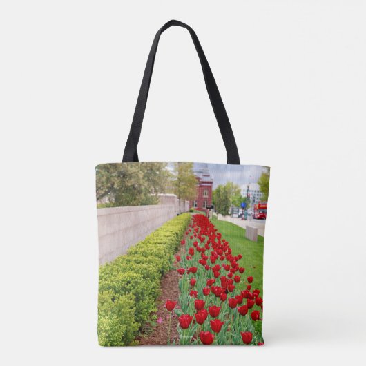 Haupt Bulbs Tasche (Rückseite)