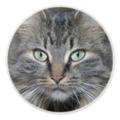 Haupt-Coon-Katzen Augen Keramikknauf (Vorderseite)