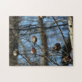 Haupt-Finch-fotografische Vögel Puzzle (Horizontal)