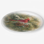 Haupt Pappteller (Schrägansicht)