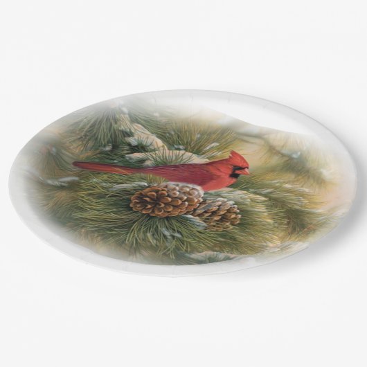 Haupt Pappteller (Schrägansicht)