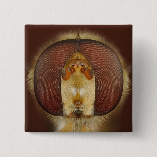 Haupt- und Verbundaugen einer Schwebeflug-Fliege Button (Vorderseite)