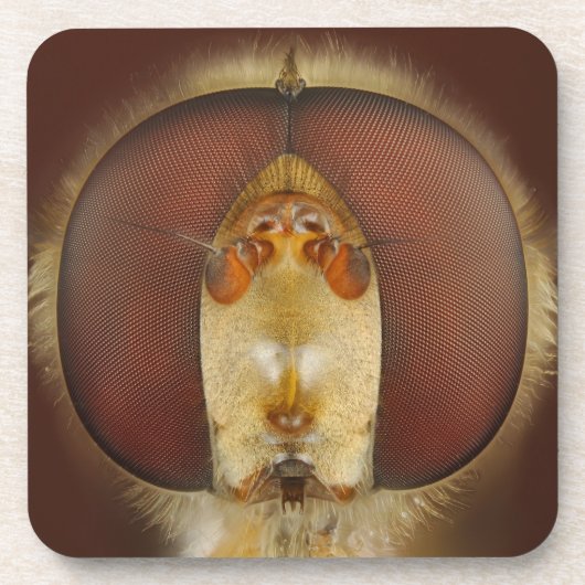 Haupt- und Verbundaugen einer Schwebeflug-Fliege Getränkeuntersetzer (Vorderseite)