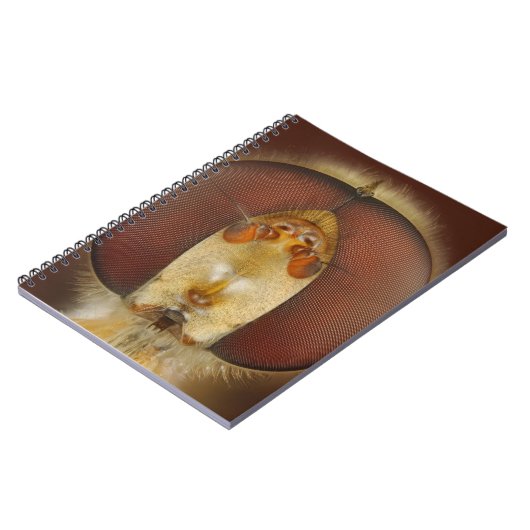 Haupt- und Verbundaugen einer Schwebeflug-Fliege Notizblock (Linke Seite)