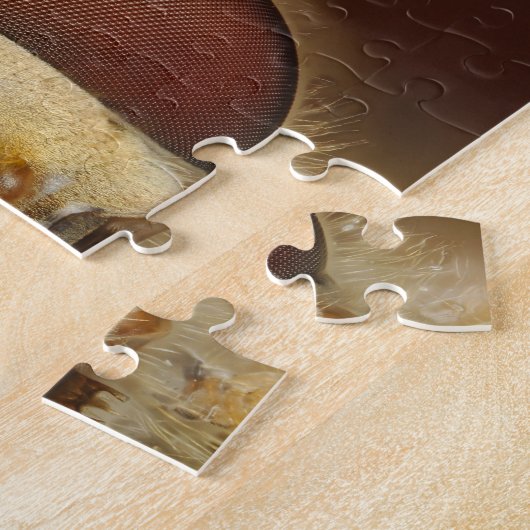 Haupt- und Verbundaugen einer Schwebeflug-Fliege Puzzle (Seite)