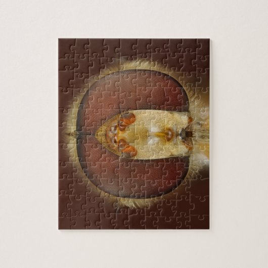 Haupt- und Verbundaugen einer Schwebeflug-Fliege Puzzle (Vertikal)