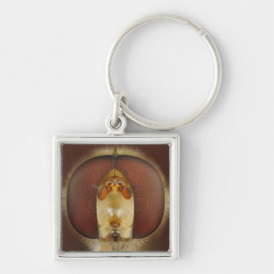 Haupt- und Verbundaugen einer Schwebeflug-Fliege Schlüsselanhänger