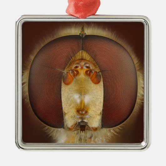 Haupt- und Verbundaugen einer Schwebeflug-Fliege Silbernes Ornament (Vorne)