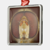 Haupt- und Verbundaugen einer Schwebeflug-Fliege Silbernes Ornament (Links)