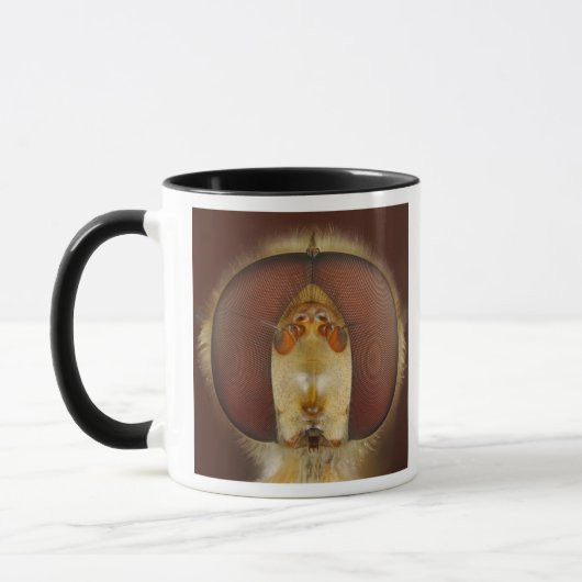 Haupt- und Verbundaugen einer Schwebeflug-Fliege Tasse (Links)