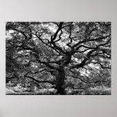 Hauptarterie Poster (Vorne)