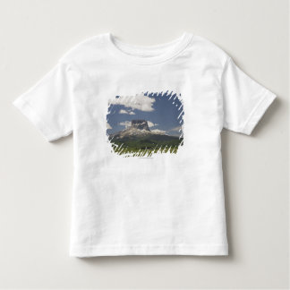 Hauptberg mit Weiden des Weiden lassens des Viehs Kleinkind T-shirt