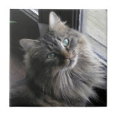 Hauptcocktail Kitty Cat Keramik Tile Fliese (Vorderseite)