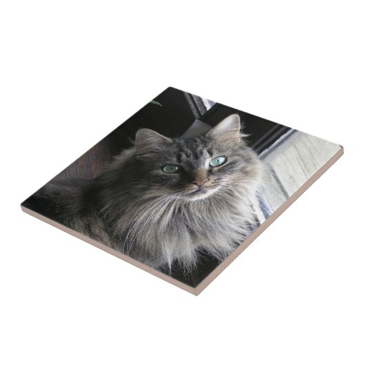 Hauptcocktail Kitty Cat Keramik Tile Fliese (Seite)