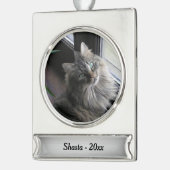 Hauptcoon-Katze Silbername und Jahr Banner-Ornament Silber (Links)