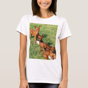 Hauptgruppe Button T-Shirt