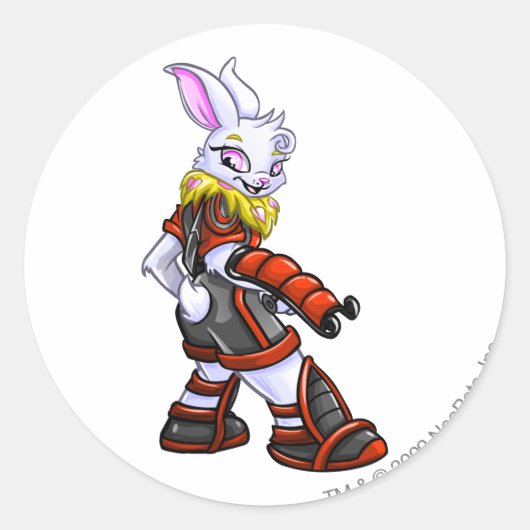 Hauptmann 2 der Weltraumbahnstation für Virtupets Runder Aufkleber (Vorderseite)